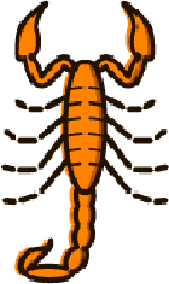 Scorpions Pest control